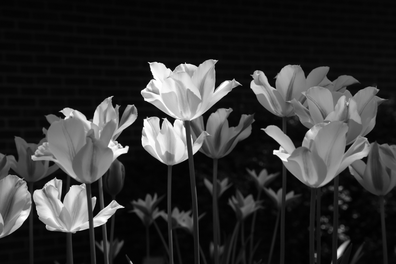 2018 05 08 HTP 18059